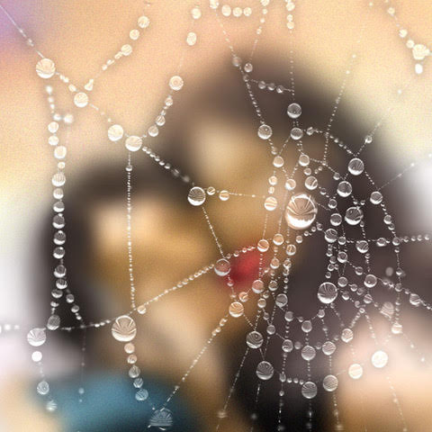 a dewy spider web with out of focus couple in the background