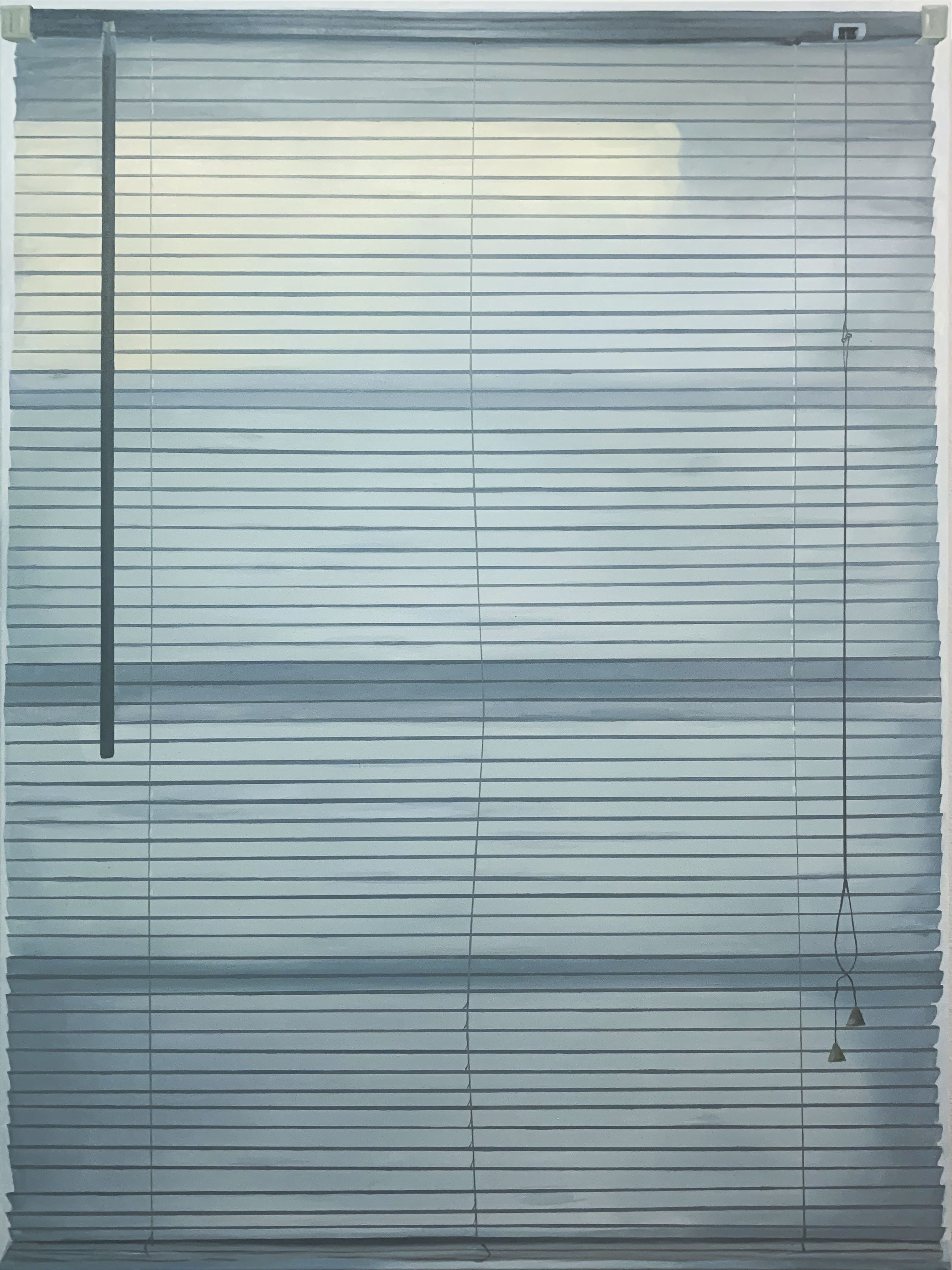 an oil painting of a window with closed blinds