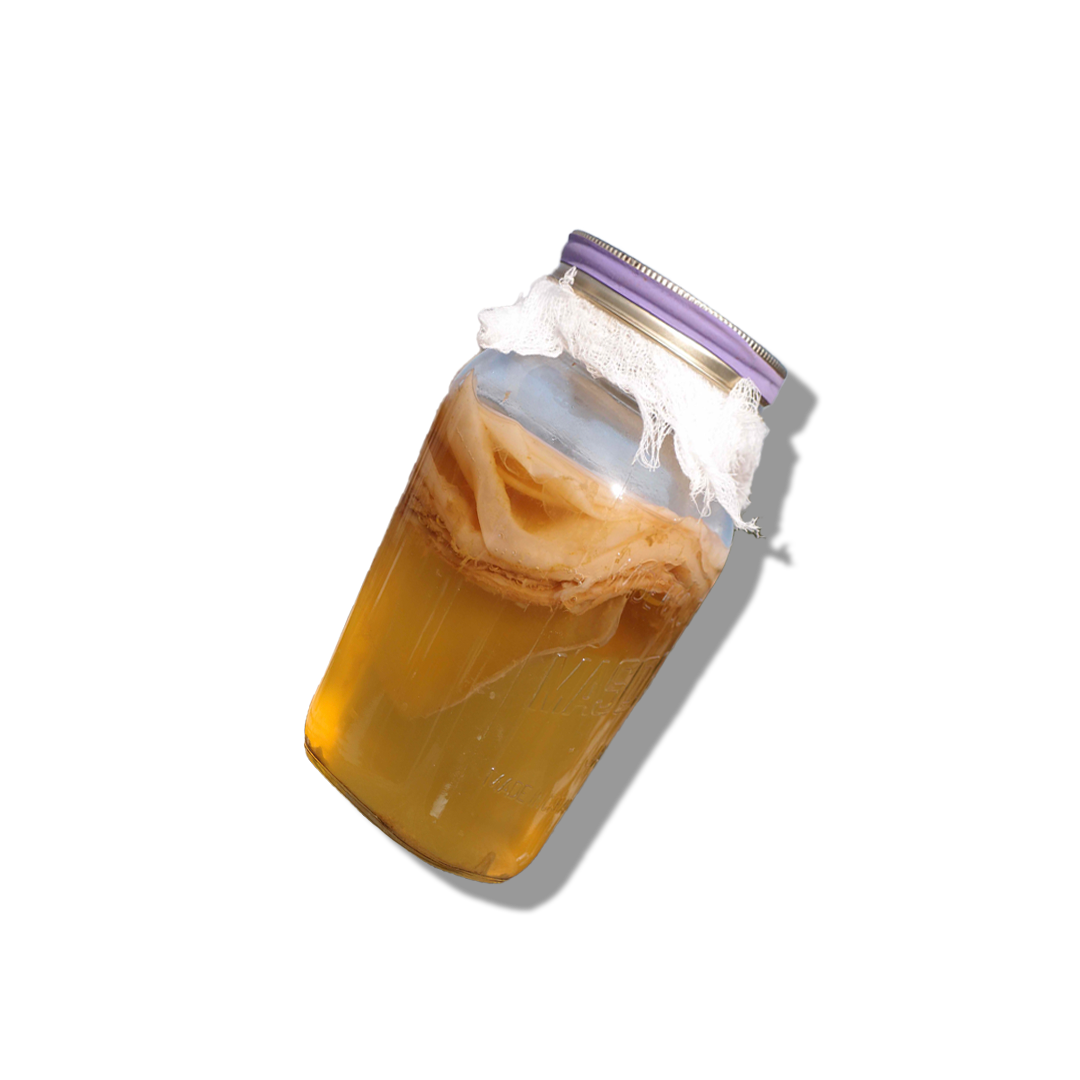 kombucha in a jar